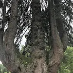 Lejlighed Mangartblick